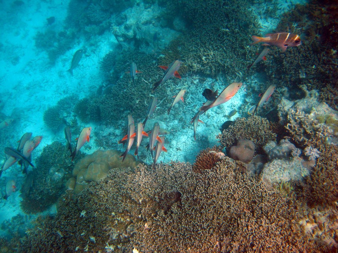 Photo00129